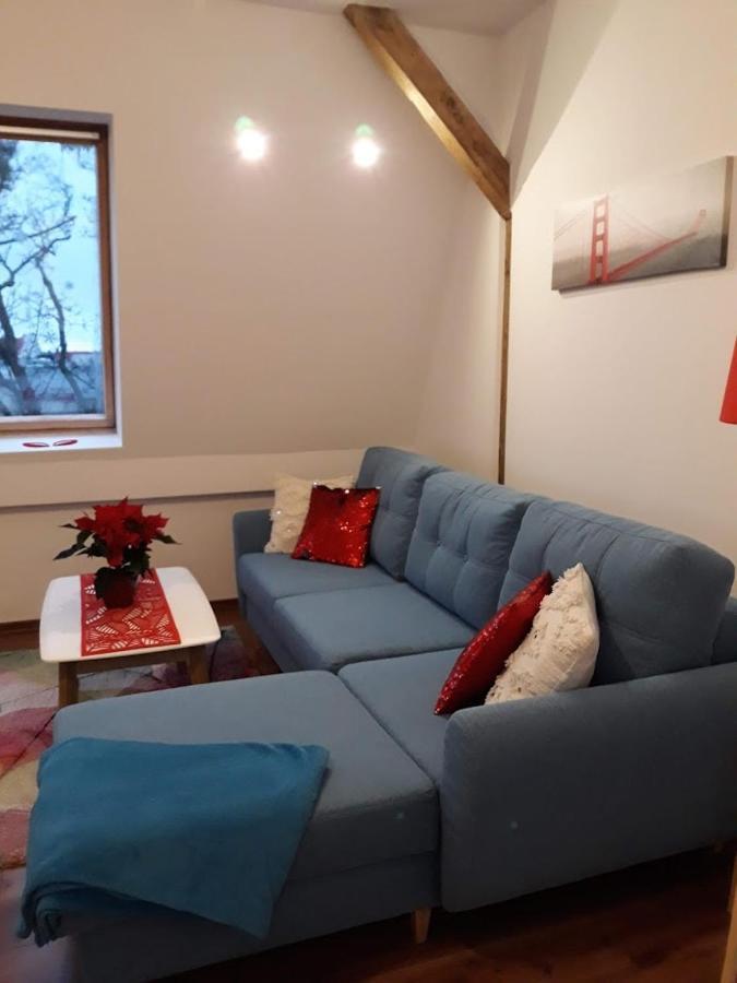 Apartament W Sercu Warmii II Ольштин Екстер'єр фото